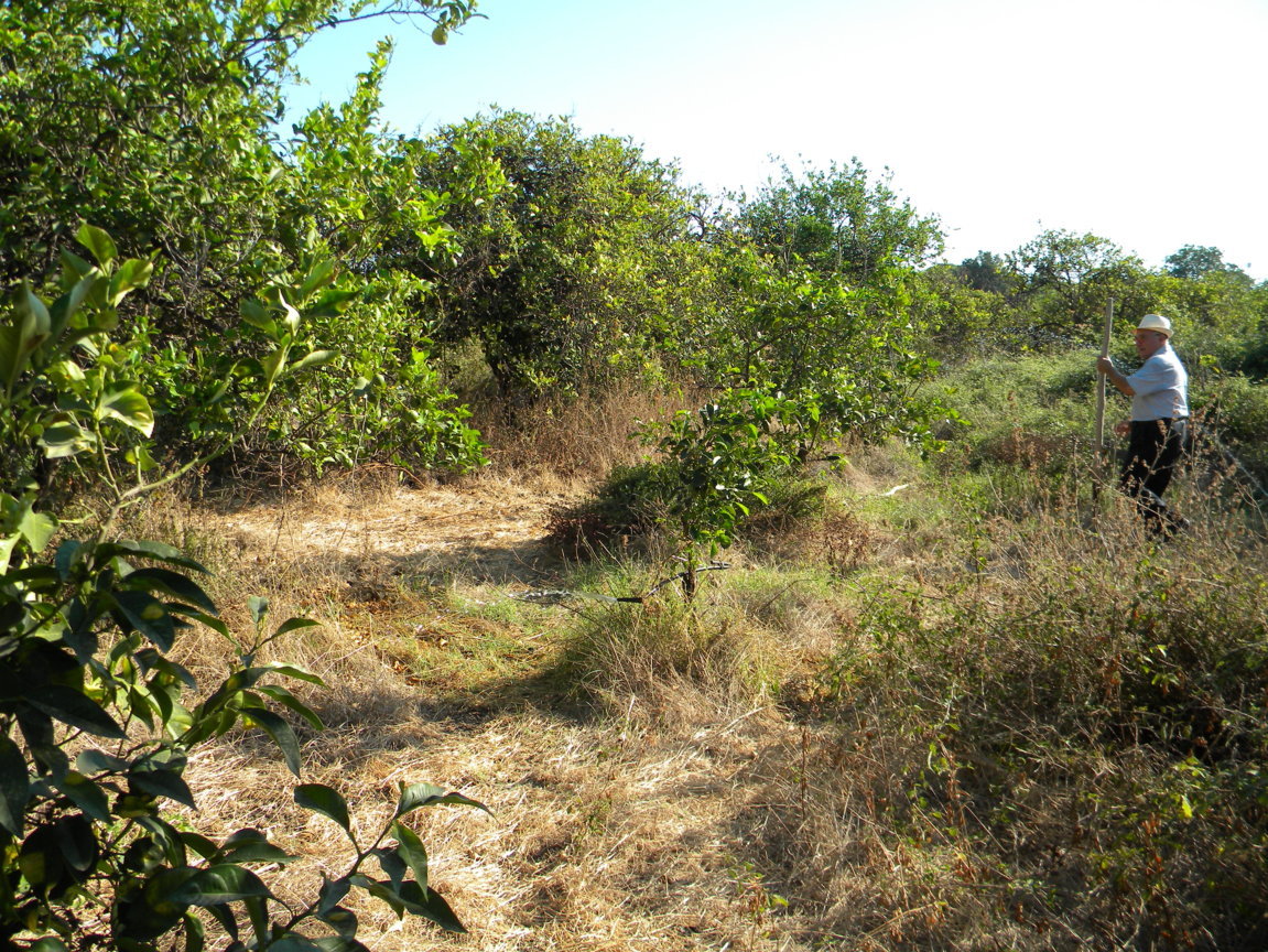 DSCN8110 .JPG